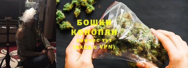 прущие грибы Белоозёрский