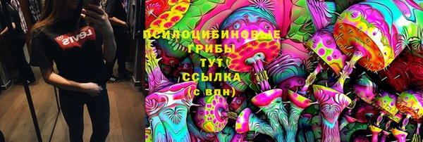 2c-b Белокуриха