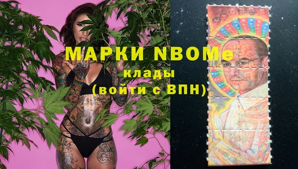 прущие грибы Белоозёрский