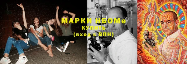 прущие грибы Белоозёрский