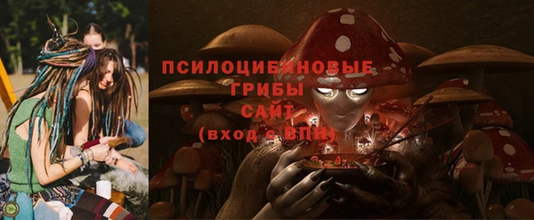 2c-b Белокуриха