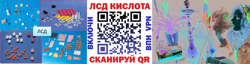 сколько стоит omg как войти ЛСД экстази ecstasy Онега