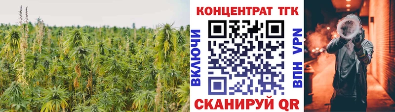 ТГК THC oil  купить   Онега 