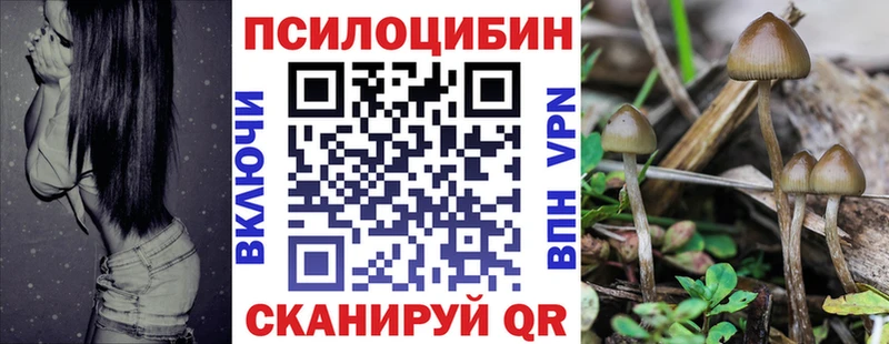 даркнет какой сайт  магазин продажи наркотиков  Онега  Псилоцибиновые грибы мицелий 